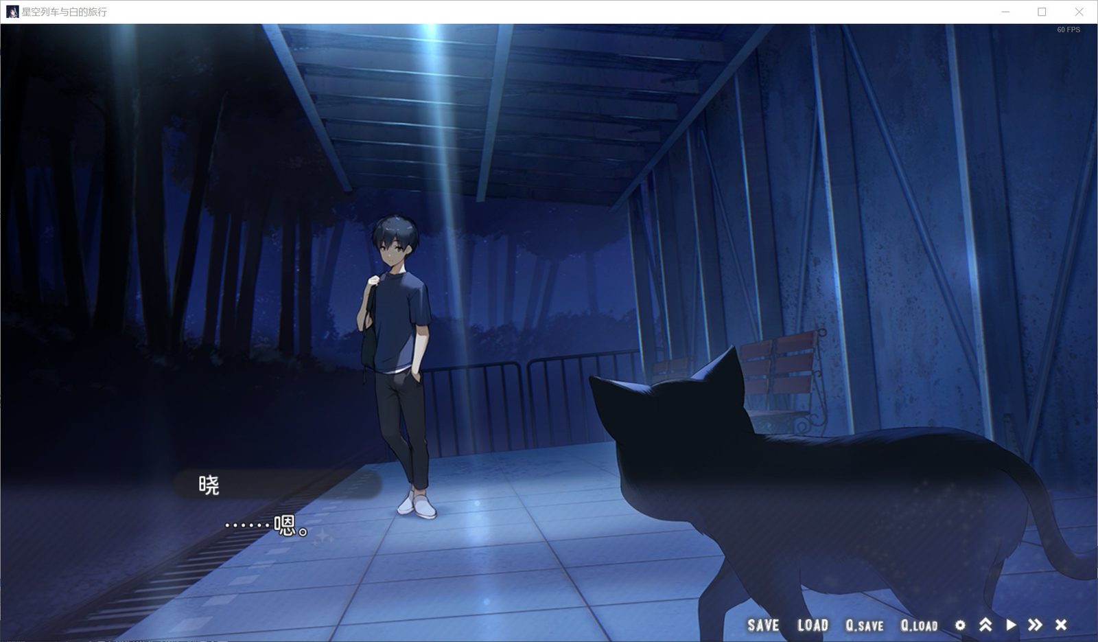 星空列车与白的旅行STEAM版 自动播放 专题图 7